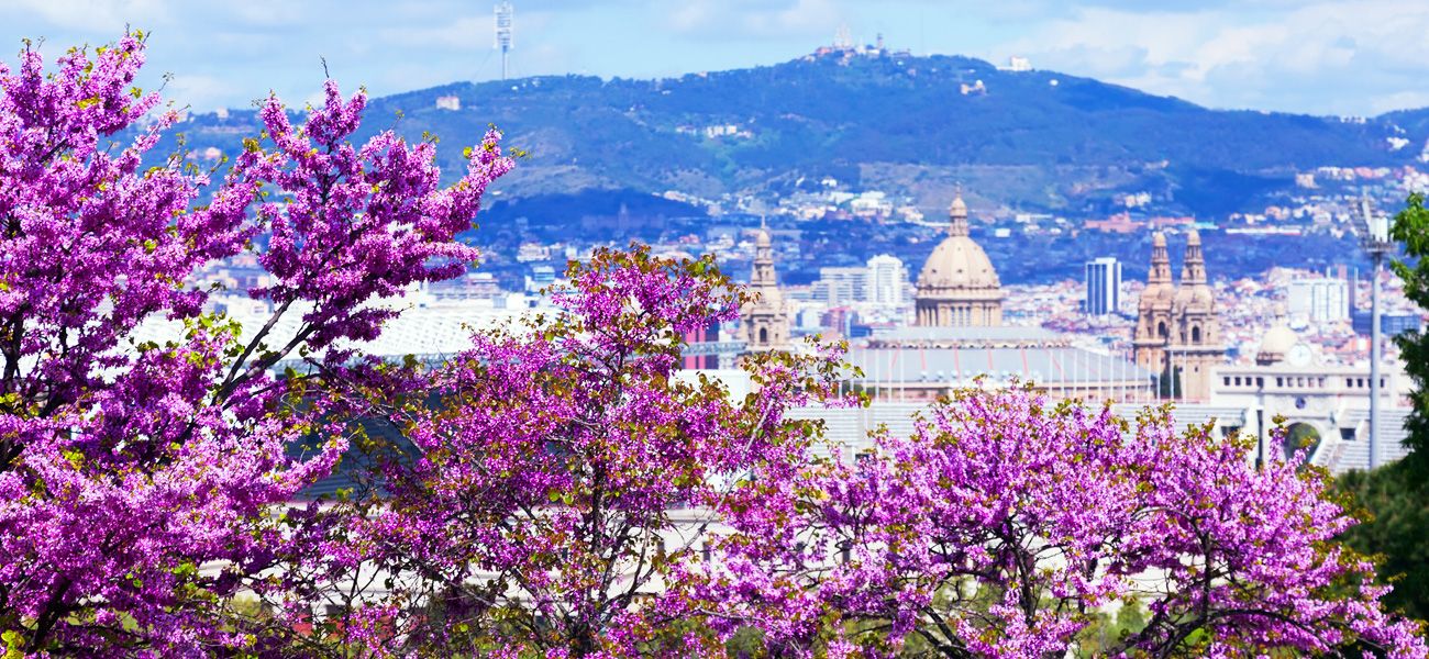 How a spring afternoon in Barcelona feels